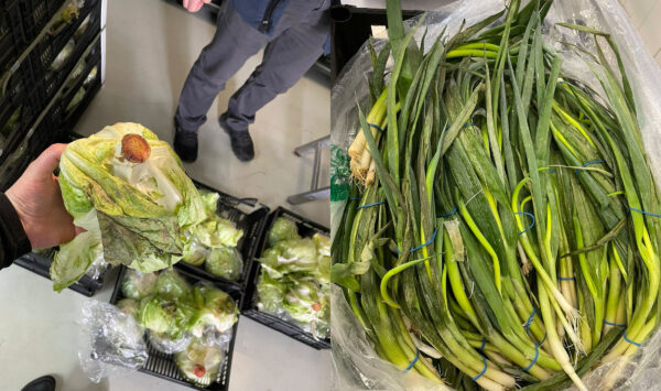 Peste 10 tone de salată Iceberg și ceapă verde alterate din import, distruse de ANSA