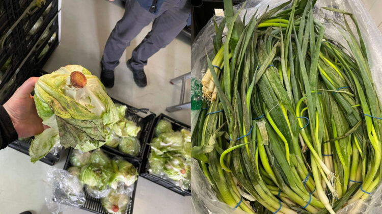 Peste 10 tone de salată Iceberg și ceapă verde alterate din import, distruse de ANSA