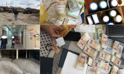 Schema de evaziune de 7 milioane lei din agricultură: firme lichidate ca să scape de taxe