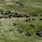 Dezastru în câmp! Peste 46.000 de oameni au abandonat agricultura