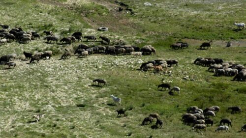 Dezastru în câmp! Peste 46.000 de oameni au abandonat agricultura