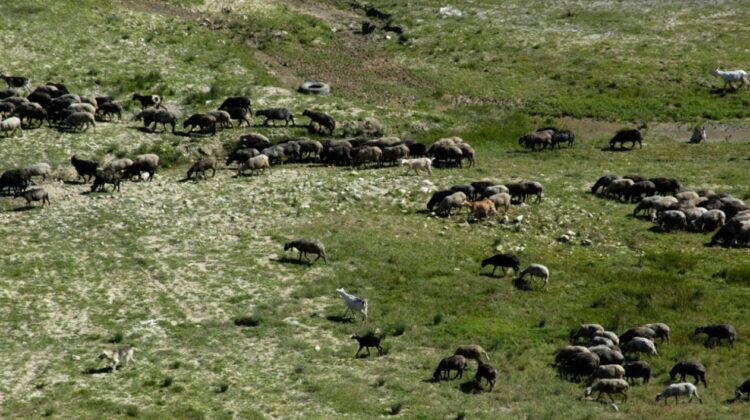 Dezastru în câmp! Peste 46.000 de oameni au abandonat agricultura