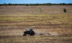 Fermierii explodează! Statul le-a promis TVA înapoi, dar nu dă nimic