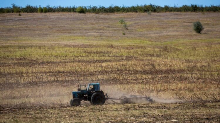 Fermierii explodează! Statul le-a promis TVA înapoi, dar nu dă nimic