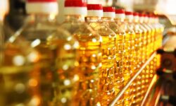 Colonie agricolă! Exportăm tone de floarea-soarelui, dar rafturile sunt pline de importuri de ulei