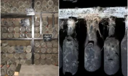 Georgia a deschis pivnița secretă a lui Stalin: 40 000 de sticle de vin, scoase la licitație
