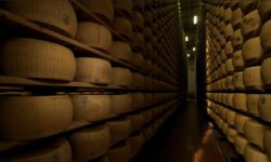 Banca unde brânza ține loc de aur: 500.000 de roți de Parmigiano în seif