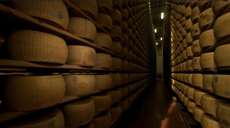 Banca unde brânza ține loc de aur: 500.000 de roți de Parmigiano în seif