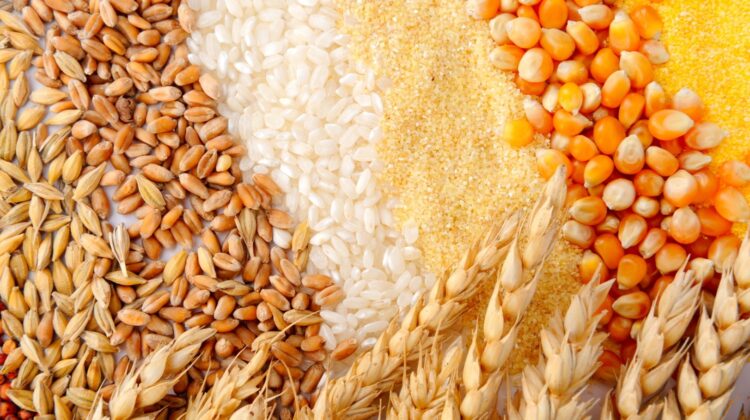 FAO anunță recolte record de cereale, dar avertizează asupra unui nou val de scumpiri în agricultură
