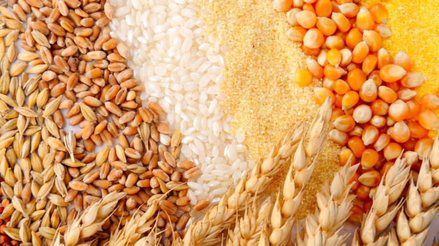 FAO anunță recolte record de cereale, dar avertizează asupra unui nou val de scumpiri în agricultură