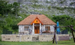 Declarații la Realitatea: Tichetele de vacanță pot stimula investițiile și diversificarea afacerilor din mediul rural