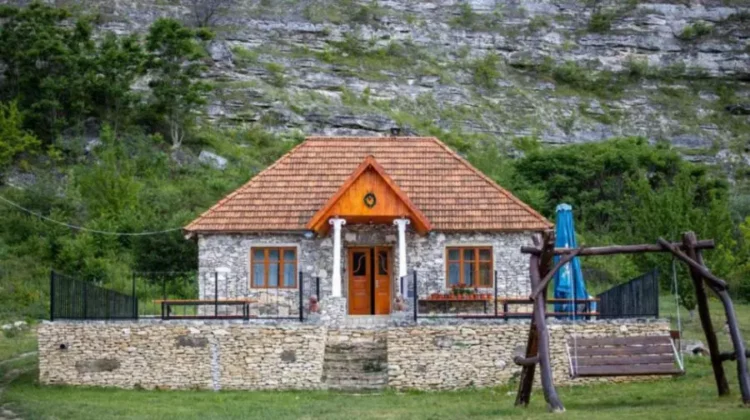Declarații la Realitatea: Tichetele de vacanță pot stimula investițiile și diversificarea afacerilor din mediul rural