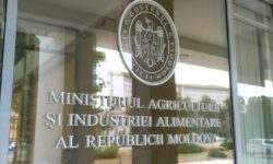 Premii și sporuri cu probleme la Agricultură: auditul a găsit plăți nejustificate de sute de mii de lei