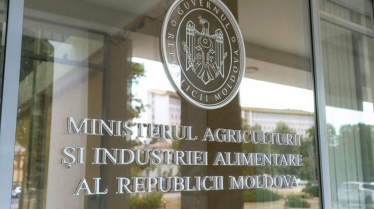 Premii și sporuri cu probleme la Agricultură: auditul a găsit plăți nejustificate de sute de mii de lei