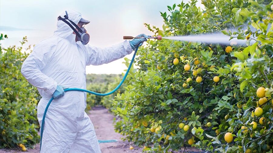 Șoc pe piața agricolă! 810 milioane de lei au fost pulverizați pe câmpurile Moldovei