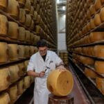 Valul de căldură pune în genunchi regatul Parmezanului! Laptele scade, iar costurile urcă până la cer