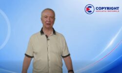 Copyright: Deciziile Nataliei Mogol, Vicedirector al AGEPI, au costat autorii peste 7 milioane de lei