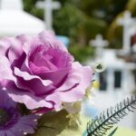 Moldova se pregătește să interzică mai multe produse din plastic. Coroanele funerare, pe lista neagră
