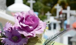 Moldova se pregătește să interzică mai multe produse din plastic. Coroanele funerare, pe lista neagră