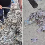 Inspectorii de mediu verifică gunoiștea din Porumbeni: au fost găsite deșeuri medicale, plastic și acte de identitate
