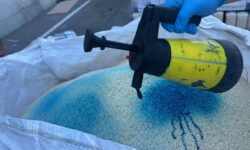 Aproape 3 tone de orez, la gunoi după controlul ANSA: ce s-a descoperit în laboratoare