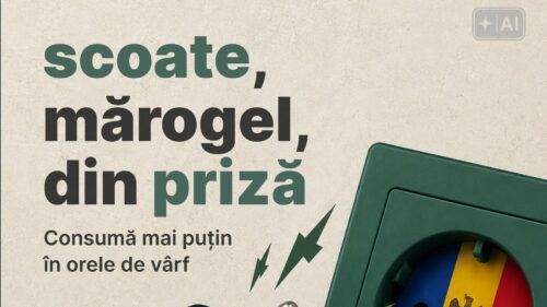 Ministerul Economiei a găsit vinovatul crizei energetice: aspiratorul! Colbul, rugat să mai aștepte