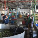 4 miliarde de lei pentru investiții în fabrici și producție: Guvernul extinde ajutorul pentru industria prelucrătoare