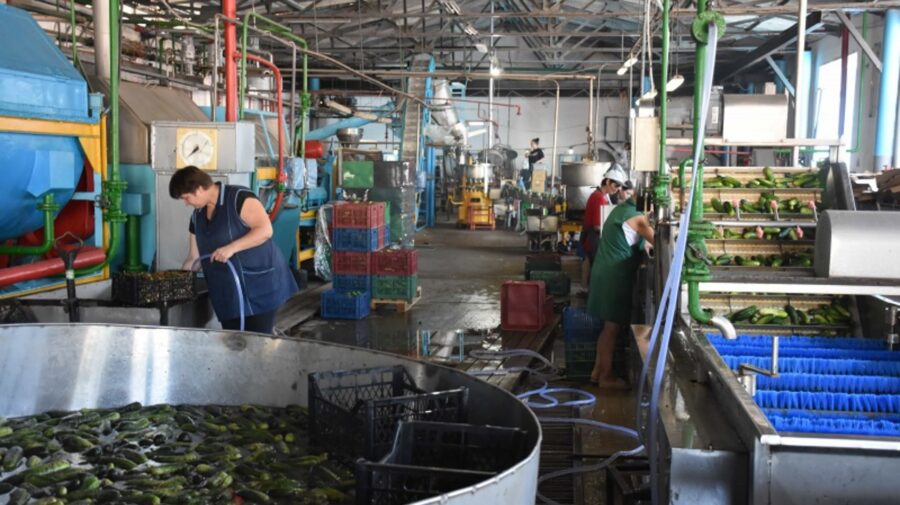 4 miliarde de lei pentru investiții în fabrici și producție: Guvernul extinde ajutorul pentru industria prelucrătoare