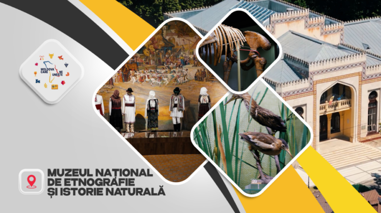 De la scheletul de Deinotherium la costumele naționale – comorile celui mai vechi muzeu din Moldova