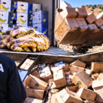 Aproape 24 de tone de banane alterate și ceai cu pesticide, blocate la import și trimise la gunoi