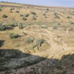Nisip și argilă extrase ilegal la Vulcănești: prejudiciu de peste 19 milioane de lei