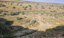 Nisip și argilă extrase ilegal la Vulcănești: prejudiciu de peste 19 milioane de lei