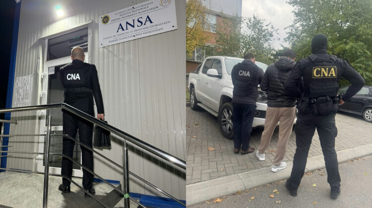 Mită de până la 30 000 de lei pentru animale fără certificate: șase angajați ANSA, reținuți la Giurgiulești