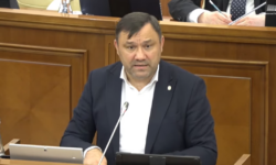De la 50 de hectare la „păduchi” și la broasca cu păr: cum a răspuns Vasile Grădinaru în plen