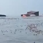 Cimitir plutitor în Ormuz! Containere și resturi de nave împrăștiate pe una dintre cele mai importante rute petroliere